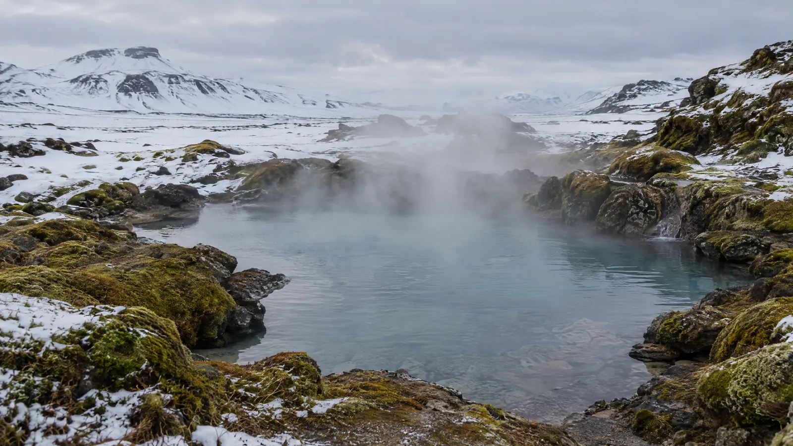 Heat Shock Proteins: How Sauna, Exercise, and Hormesis Activate Cellular Repair
