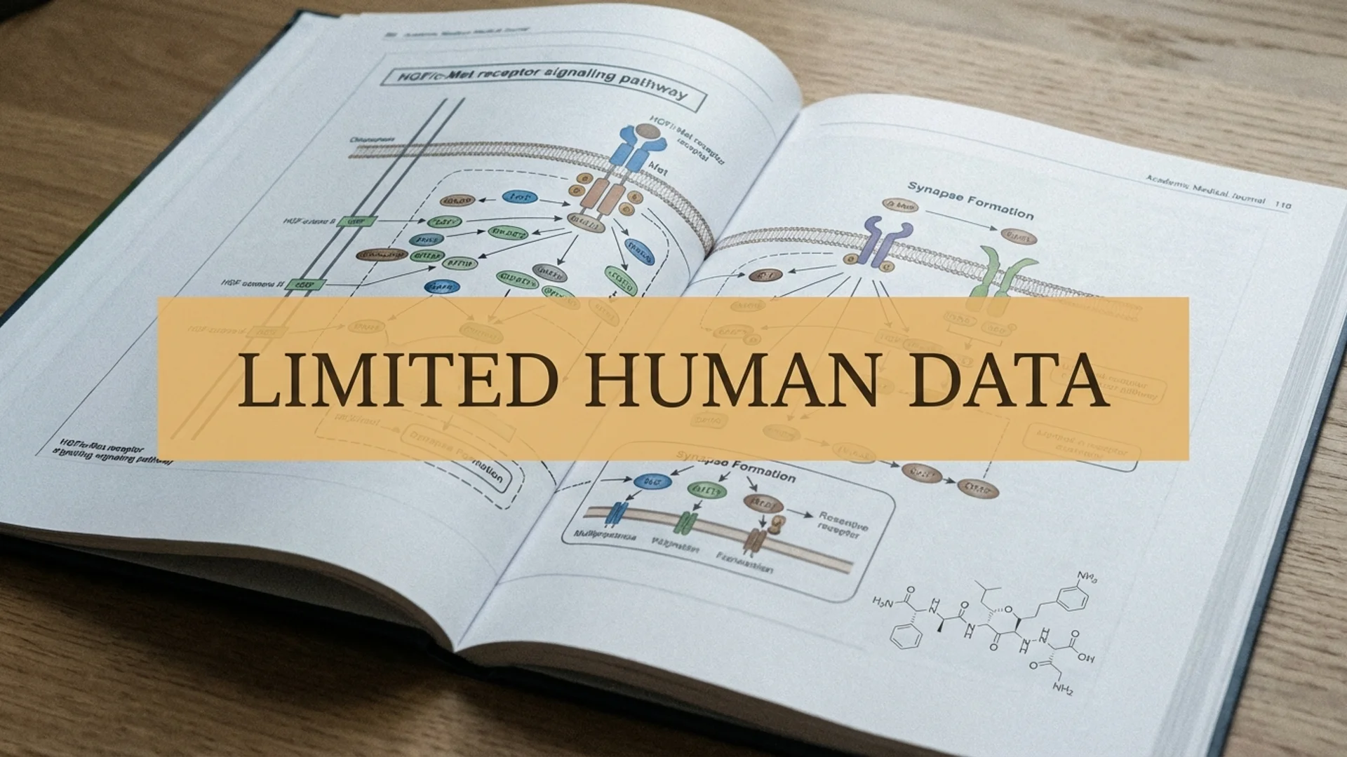 Dihexa: The Cognitive Peptide with Limited Data